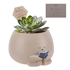 Onzbala bookworm planter for sale  Delivered anywhere in USA 