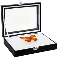 Juvale insect display for sale  Delivered anywhere in USA 