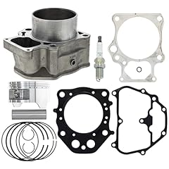 Niche cylinder piston for sale  Delivered anywhere in USA 