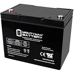 Mighty max battery for sale  Delivered anywhere in USA 