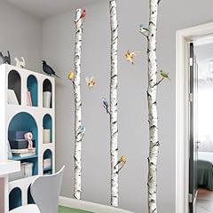 Tall birch tree for sale  Delivered anywhere in USA 