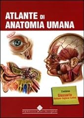 Atlante anatomia umana. usato  Spedito ovunque in Italia 