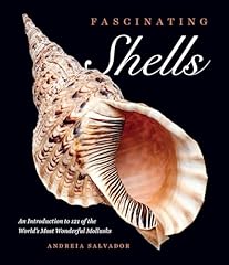Fascinating shells introductio for sale  Delivered anywhere in USA 