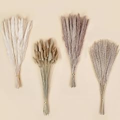 Domestar 130pcs dried for sale  Delivered anywhere in USA 