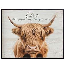 Scottish highland cow for sale  Delivered anywhere in USA 