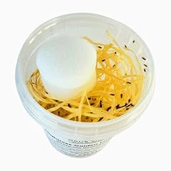 Flightless golden fruit for sale  Delivered anywhere in UK