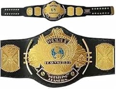 Pro champs winged for sale  Delivered anywhere in USA 