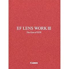 Canon lens work gebraucht kaufen  Wird an jeden Ort in Deutschland