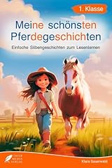 Silbenbuch klasse schönsten gebraucht kaufen  Wird an jeden Ort in Deutschland