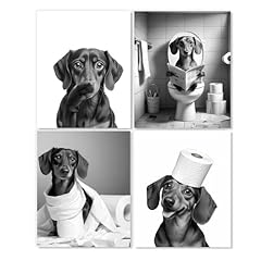 Lukipom funny dachshund for sale  Delivered anywhere in USA 