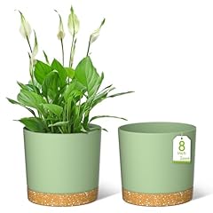 Zmtech 20cm plant for sale  Delivered anywhere in UK