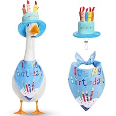 Dansydaisy happy birthday for sale  Delivered anywhere in USA 