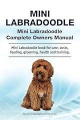 Mini labradoodle. mini for sale  Delivered anywhere in USA 
