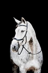 Horseware micklem2 multi gebraucht kaufen  Wird an jeden Ort in Deutschland