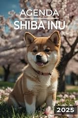 Agenda 2025 shiba d'occasion  Livré partout en France
