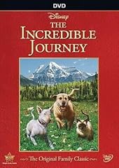 Incredible journey dvd for sale  Delivered anywhere in USA 