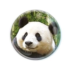 Deluxebase magnidome panda usato  Spedito ovunque in Italia 