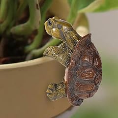 Tortoise figure plant for sale  Delivered anywhere in USA 
