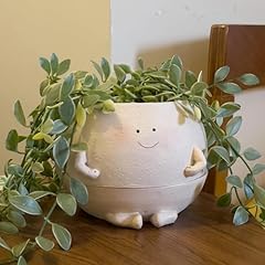 Ninipapa self watering for sale  Delivered anywhere in USA 