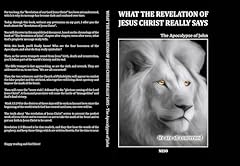 What the revelation usato  Spedito ovunque in Italia 