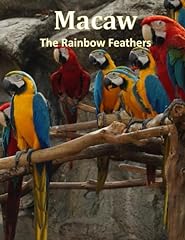 Macaw rainbow feathers for sale  Delivered anywhere in UK