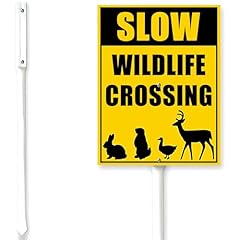 Houseuse slow wildlife for sale  Delivered anywhere in USA 