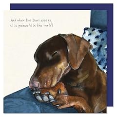 Anna danielle dachshund for sale  Delivered anywhere in UK