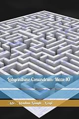 Labyrinthine conundrum maze for sale  Delivered anywhere in UK
