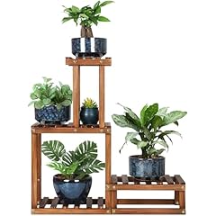 Coogou wood plant for sale  Delivered anywhere in USA 