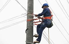 Huawell electric utility for sale  Delivered anywhere in USA 