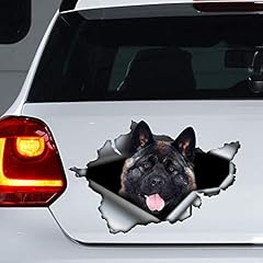 American akita car for sale  Delivered anywhere in USA 