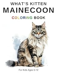 Whats kitten mainecoon gebraucht kaufen  Wird an jeden Ort in Deutschland