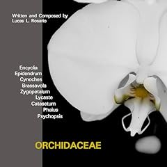 Lycaste usato  Spedito ovunque in Italia 