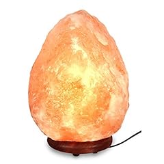 Mineralamp nsl 101 for sale  Delivered anywhere in USA 