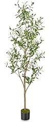 Tamiaia artificial olive for sale  Delivered anywhere in USA 