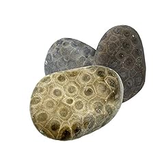 Petoskey stone includes for sale  Delivered anywhere in USA 