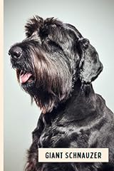 Giant schnauzer composition for sale  Delivered anywhere in UK