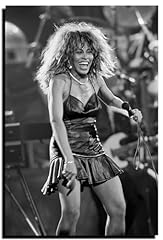 Tina turner poster for sale  Delivered anywhere in USA 