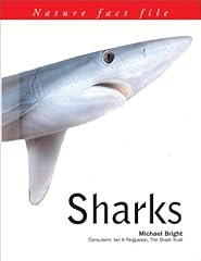 Sharks for sale  Delivered anywhere in UK