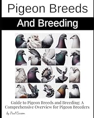 Guide pigeon breeds for sale  Delivered anywhere in UK