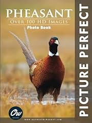 Pheasant picture perfect for sale  Delivered anywhere in USA 