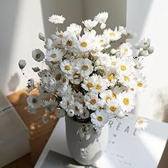 Dried daisy flowers for sale  Delivered anywhere in UK