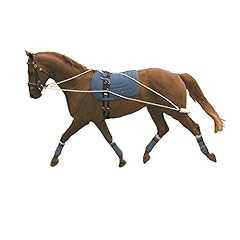 Kincade lunging training for sale  Delivered anywhere in UK