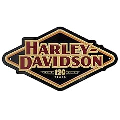Harley davidson custom for sale  Delivered anywhere in USA 