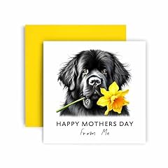 Huxters mother day for sale  Delivered anywhere in UK