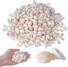0.68lb shells crafting for sale  Delivered anywhere in UK