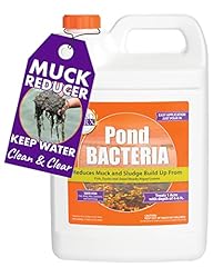 Pondworx pond bacteria for sale  Delivered anywhere in USA 