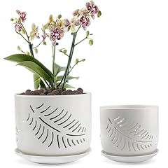 Enerbridge 2pack ceramic for sale  Delivered anywhere in USA 
