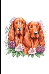 Cute irish setters for sale  Delivered anywhere in Ireland