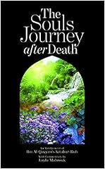 Soul journey death for sale  Delivered anywhere in Ireland
